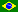 Portuguese Brasil